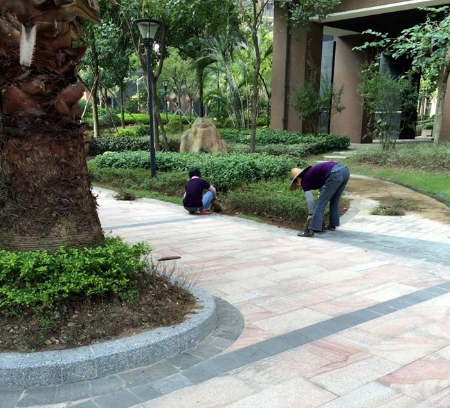 公園綠化養(yǎng)護(hù) 公園綠化養(yǎng)護(hù)